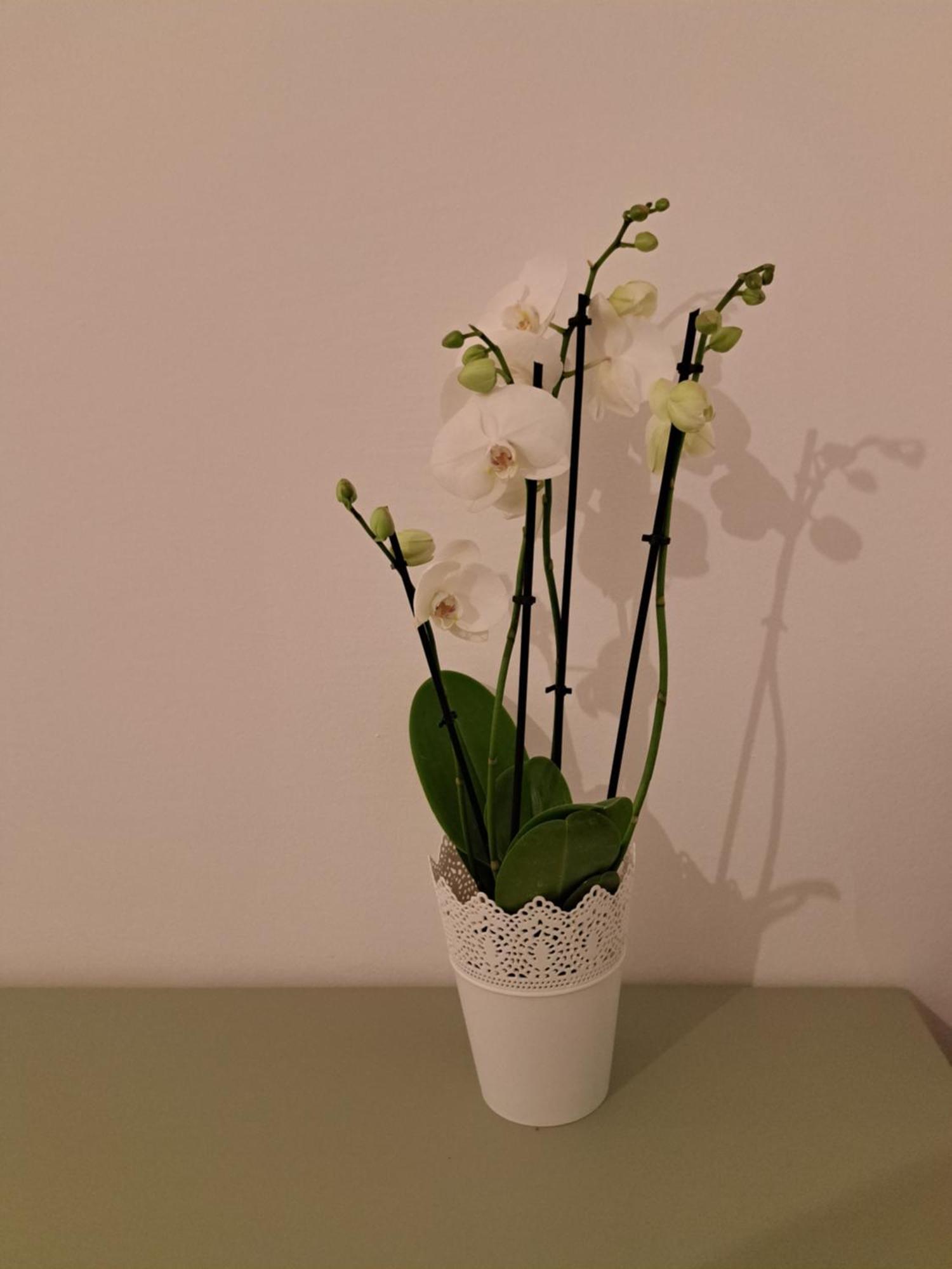 Casa Di Tre Apartment เทสซาโลนิกิ ภายนอก รูปภาพ